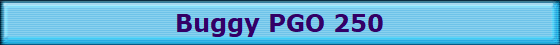 Buggy PGO 250